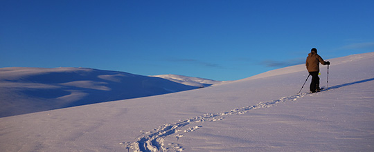 130201_schneeschuhlaufen_DSC00780