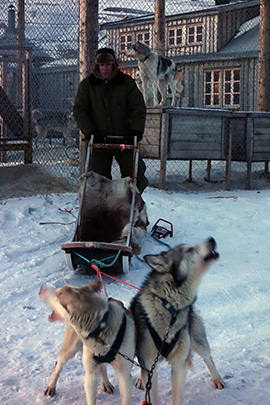 130207_hunde_DSC00893
