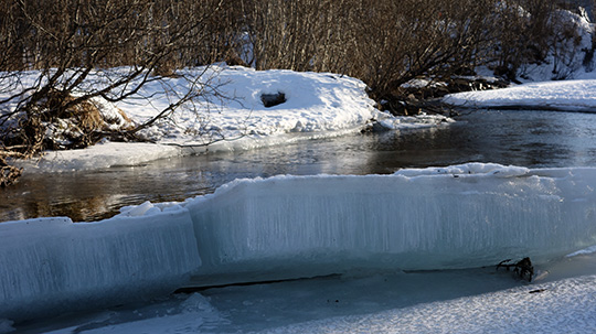 130301_bach_DSC01454