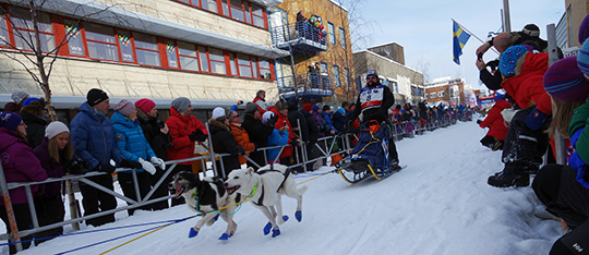 130309_hund_DSC01649