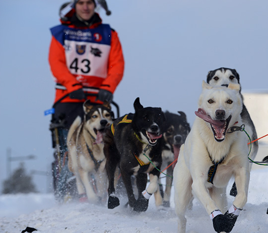 130309_hund_DSC_0489
