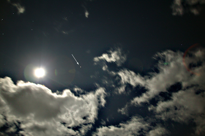 mond vagabund