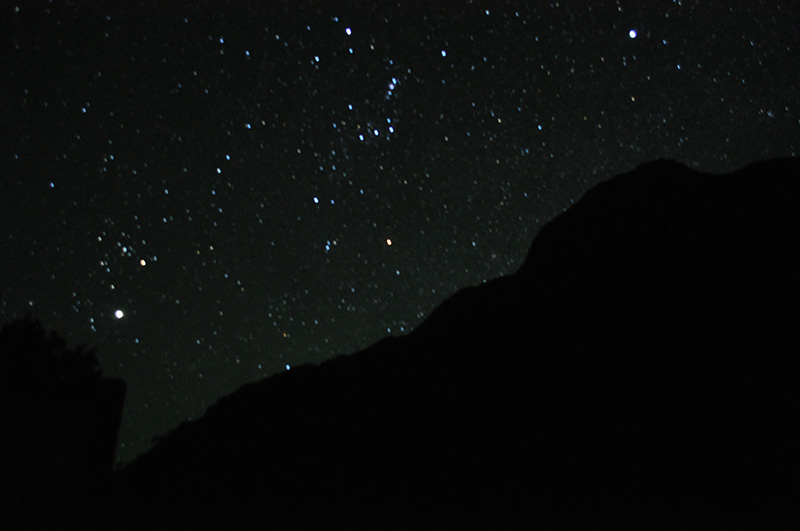 orion auf dem kopf
