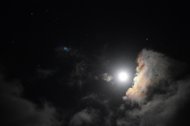 mond in den hörnern des stiers