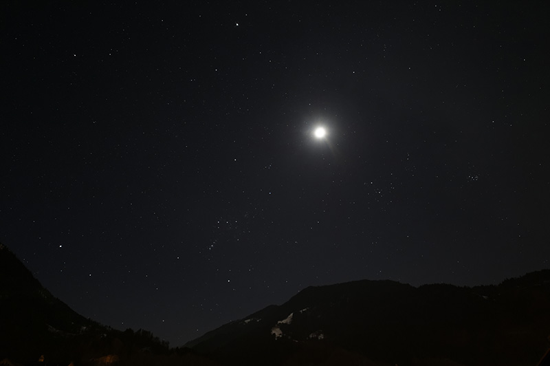 mond verlaesst stier